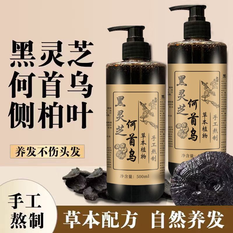 Hair Care Dandruff - شامبو هيشو وو بالجانوديرما الأسود 500